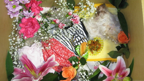 c0209334_2352470.jpg