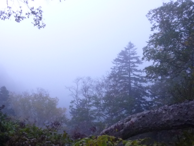 b0298935_142759.jpg