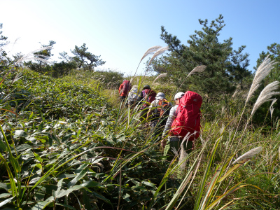 一通のメールから交流と天山北壁お花散策_e0272335_2245216.jpg