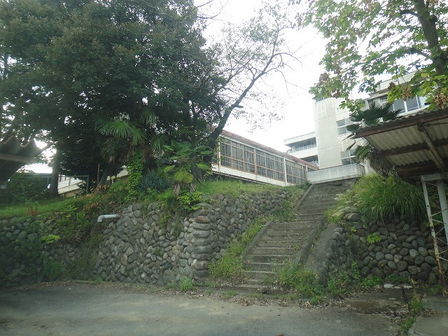 f0208737_8231024.jpg