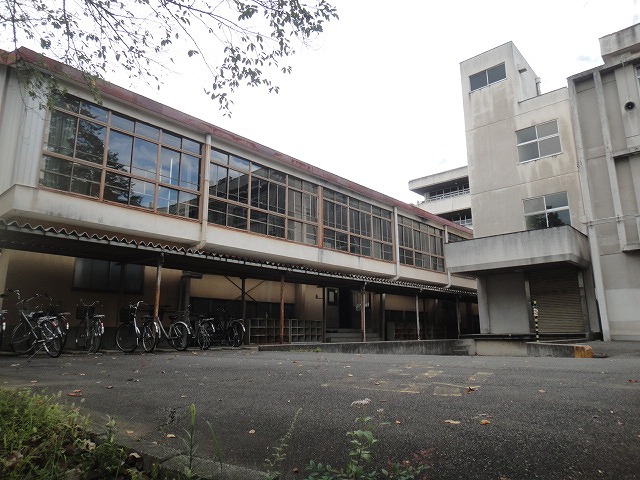 f0208737_8235292.jpg