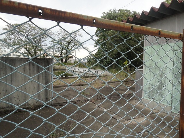 f0208737_8263759.jpg