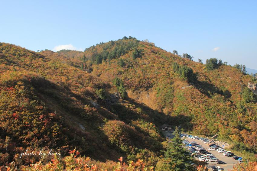 f0297537_21532950.jpg