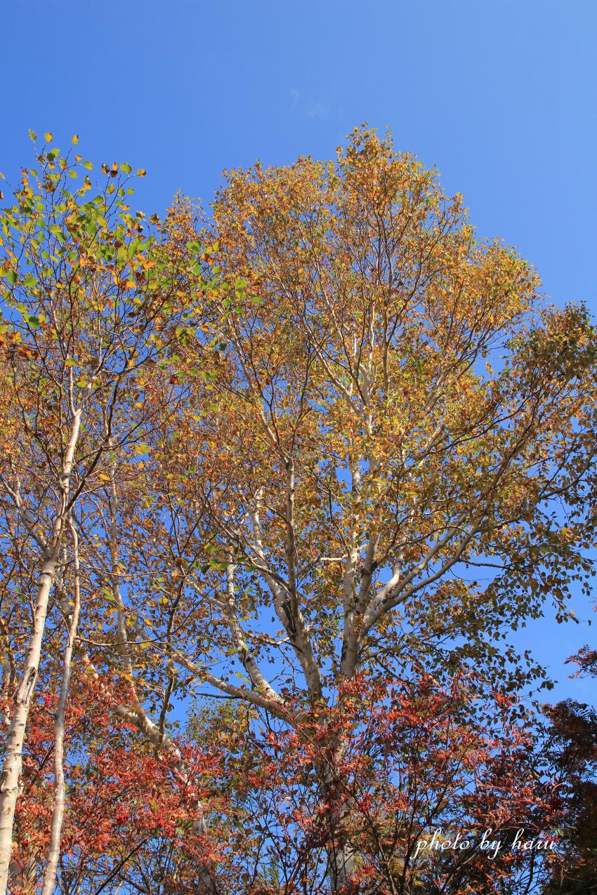 f0297537_21535892.jpg