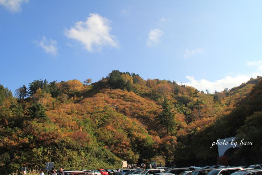 f0297537_2153859.jpg