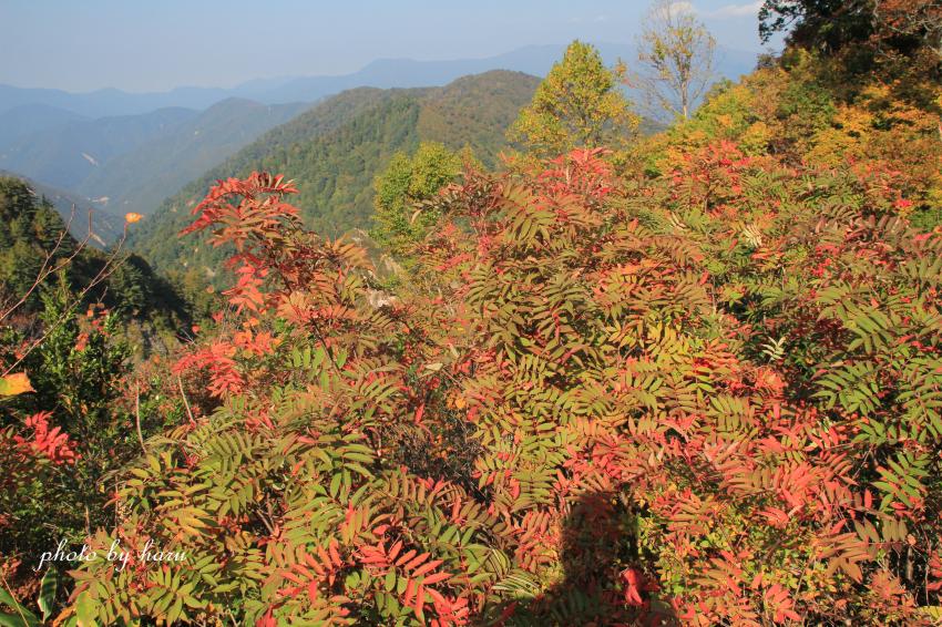 f0297537_2156019.jpg