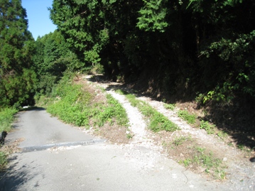 c0077338_6544627.jpg