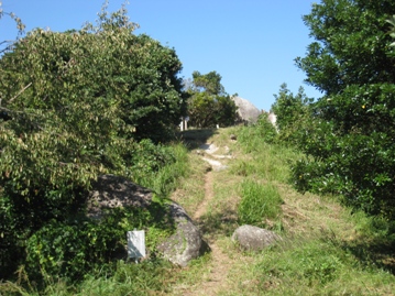 c0077338_6553080.jpg