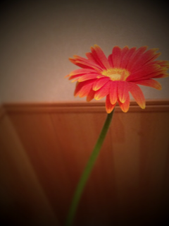 b0190640_22282468.png