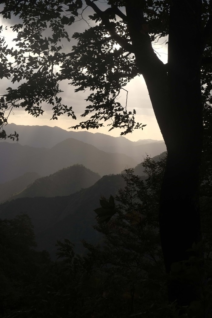 d0237340_19352591.jpg