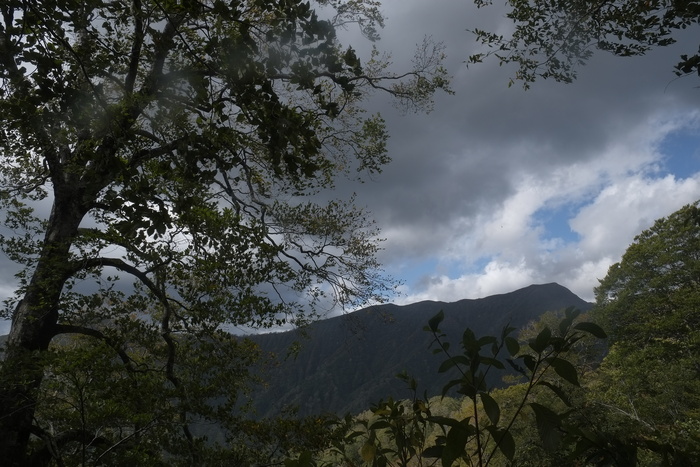 d0237340_19442118.jpg