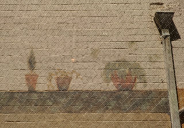 a0247342_0454741.jpg
