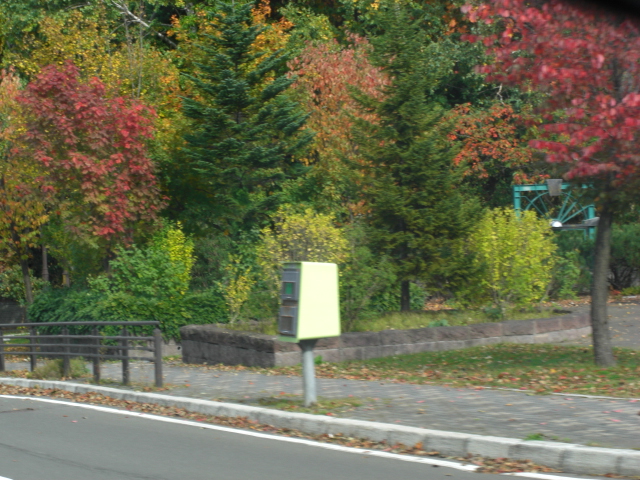 a0249443_14171135.jpg