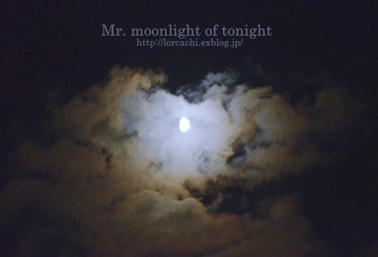 Mr. moonlight of tonight　2_f0045844_21252564.jpg