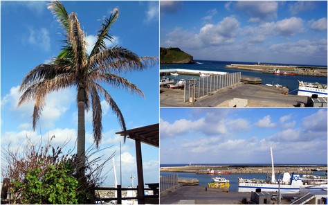 10月14日 ひとまわり_b0158746_9372284.jpg