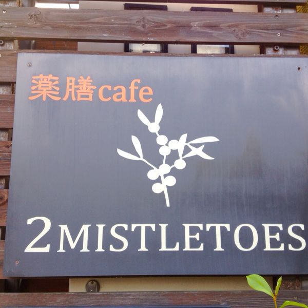 2 MISTLETOES_e0292546_21104495.jpg