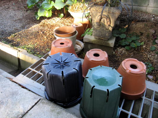 c0147952_23224830.jpg