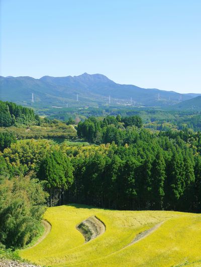 菊池水源棚田米 稲刈り その2_a0254656_1617258.jpg