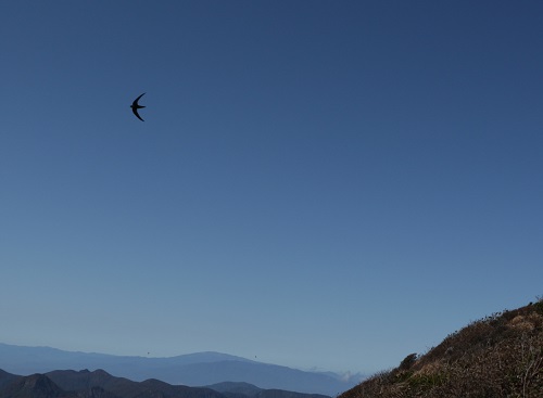 c0294658_21255017.jpg