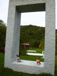 b0122262_2144128.jpg