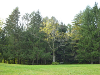 b0122262_21454344.jpg