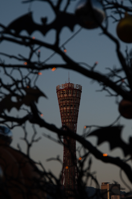 b0309167_221799.jpg