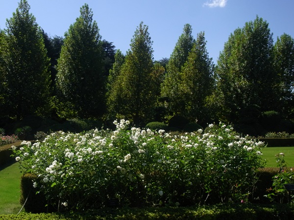 e0153367_104888.jpg
