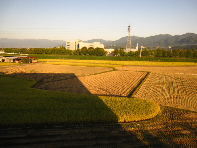 四季を通して_e0191174_8451856.jpg