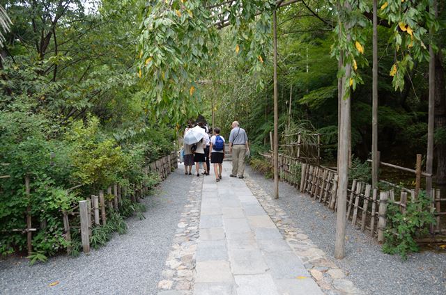 ２０１３・９・２４　金閣寺　竜安寺　仁和寺_f0219074_0374256.jpg