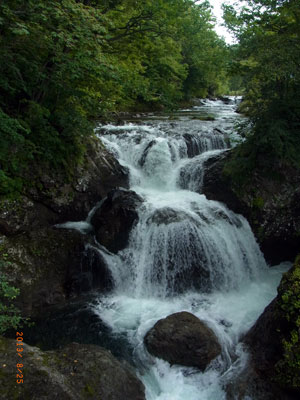 f0083977_2256579.jpg