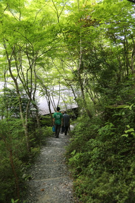 f0037378_14162957.jpg