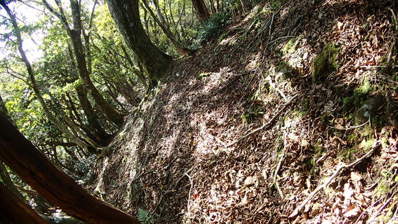 e0024081_2312195.jpg