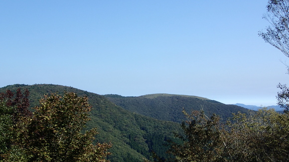 e0024081_2315742.jpg
