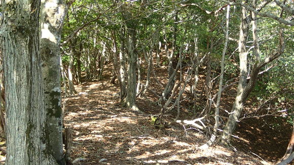 e0024081_2316251.jpg