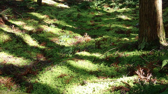 e0024081_23184931.jpg