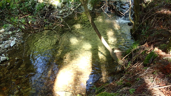 e0024081_23191722.jpg