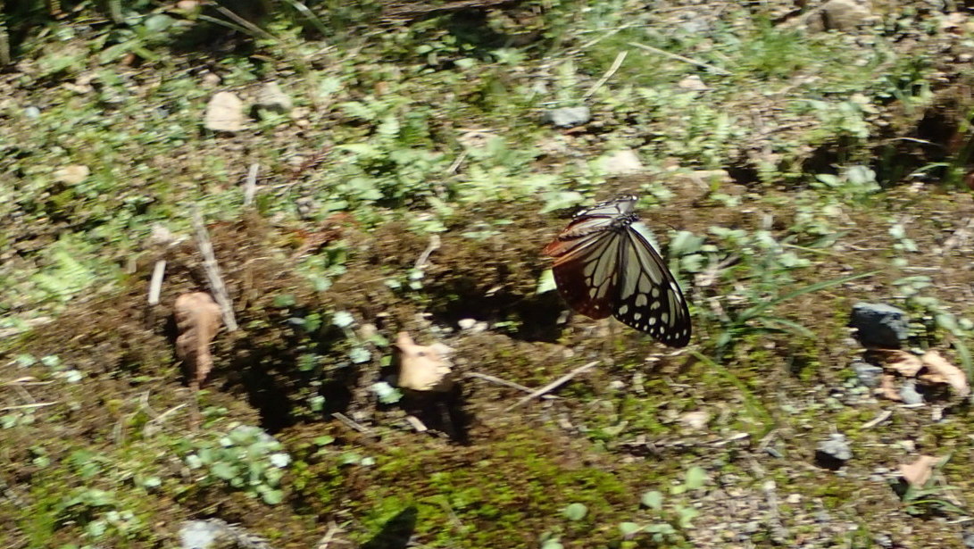 e0024081_23195427.jpg