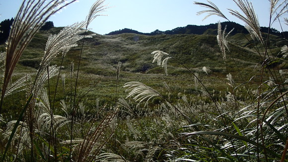 e0024081_23252245.jpg