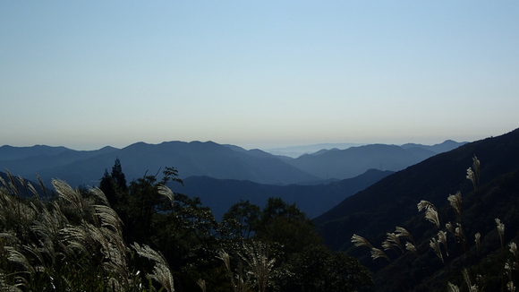 e0024081_2392090.jpg
