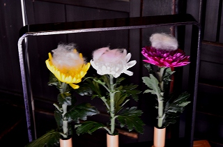 c0229483_2154670.jpg