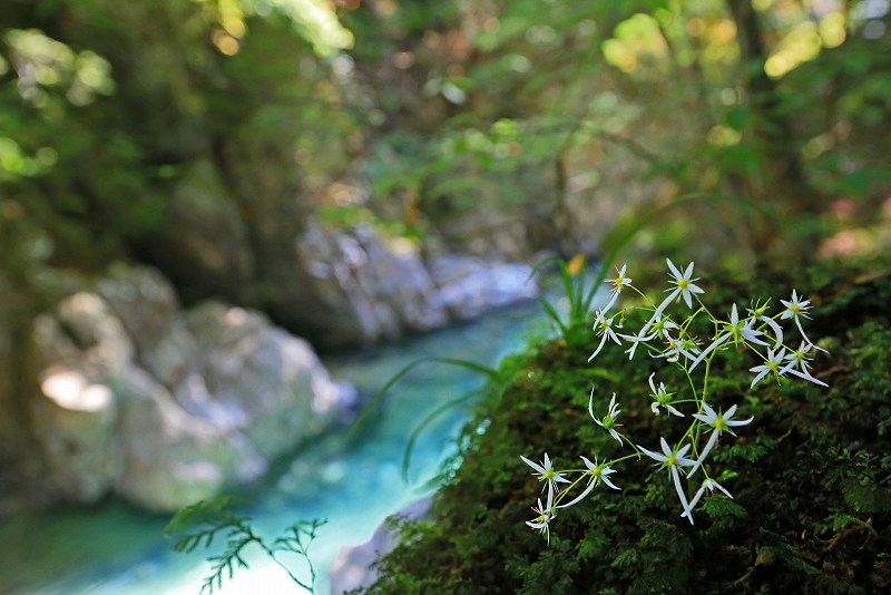 f0000789_82489.jpg
