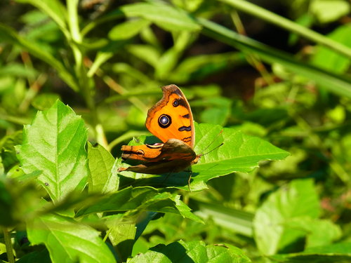 a0214490_17135491.jpg