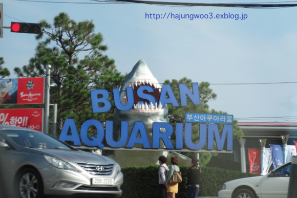 e0148490_2019342.png