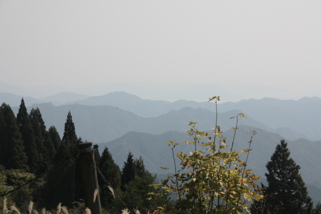 a0233991_1682860.jpg