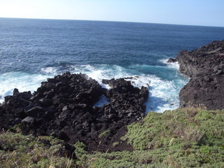 a0137192_2140156.jpg