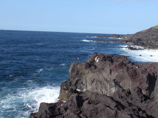 a0137192_2140411.jpg