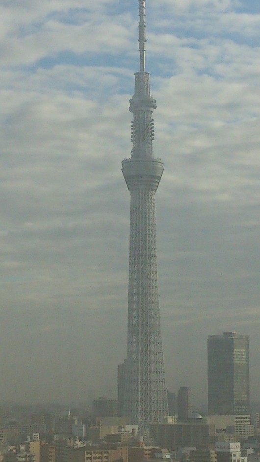 IFEX(国際フラワーエキスポ)2013年_a0292194_18415153.jpg