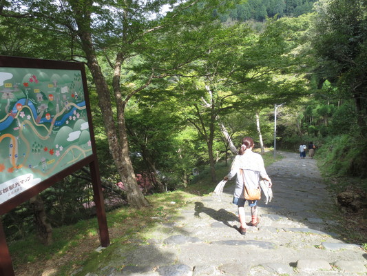 d0055395_17214121.jpg