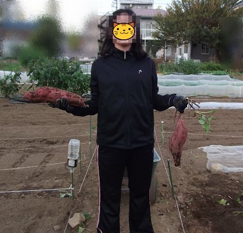 c0241498_23285897.jpg