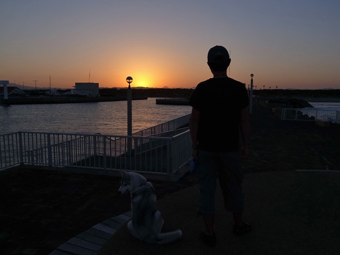 子犬　少しずつお散歩増量中♪_c0049299_17114155.jpg